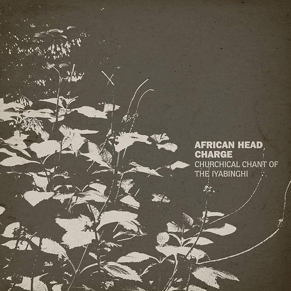 Amazon.co.jp: Vision Of A Psychedelic Africa [輸入アナログ盤